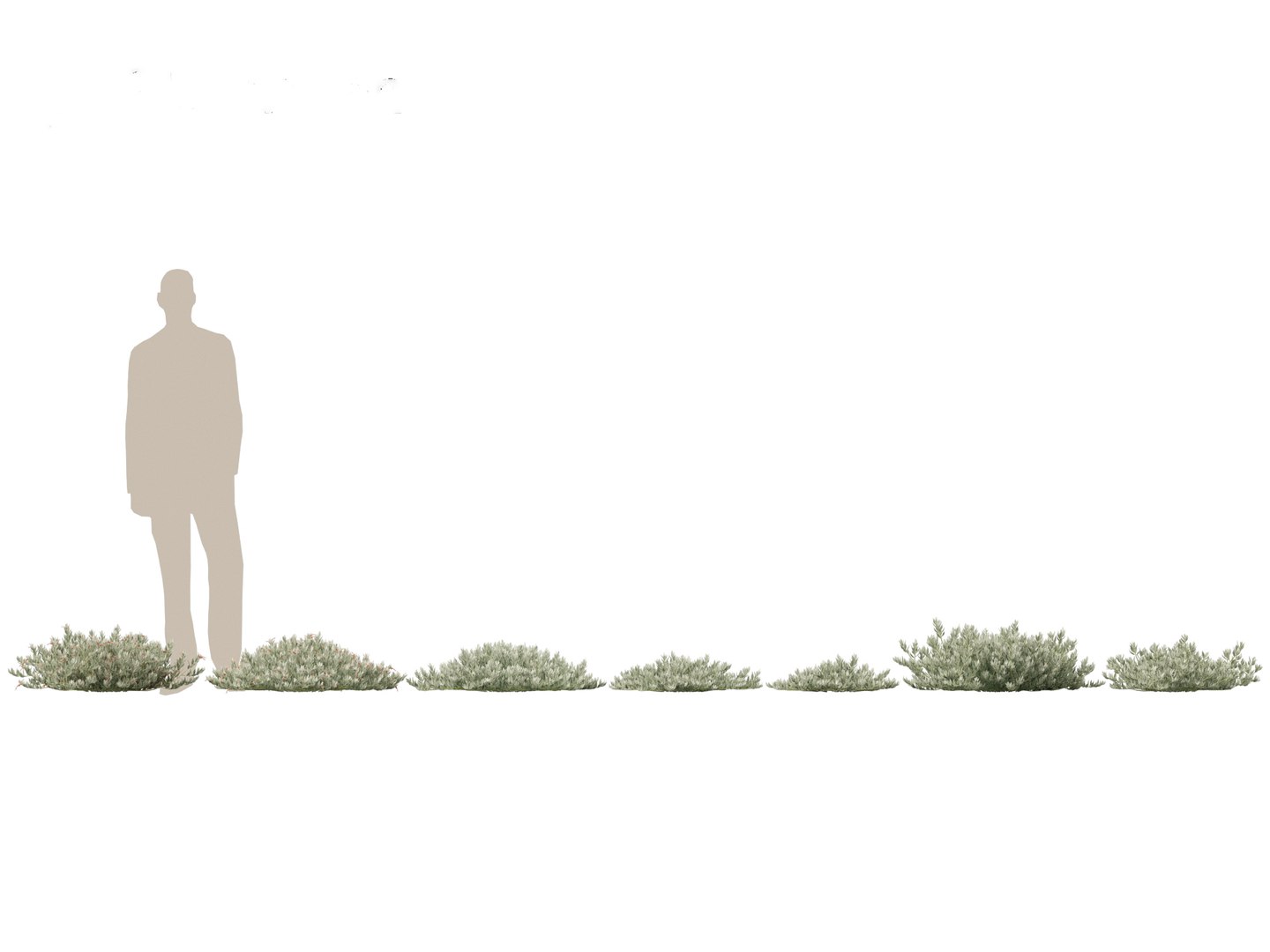 Eremophila glabra Kalbarri carpet - Tar Bush 3D model https://p.turbosquid.com/ts-thumb/dr/tvTSG4/Gf/eremophilaglabrakalbarricarpet011/jpg/1706100062/1920x1080/fit_q87/f865ec8090b2e186b2fbe0611cac262ef167847d/eremophilaglabrakalbarricarpet011.jpg