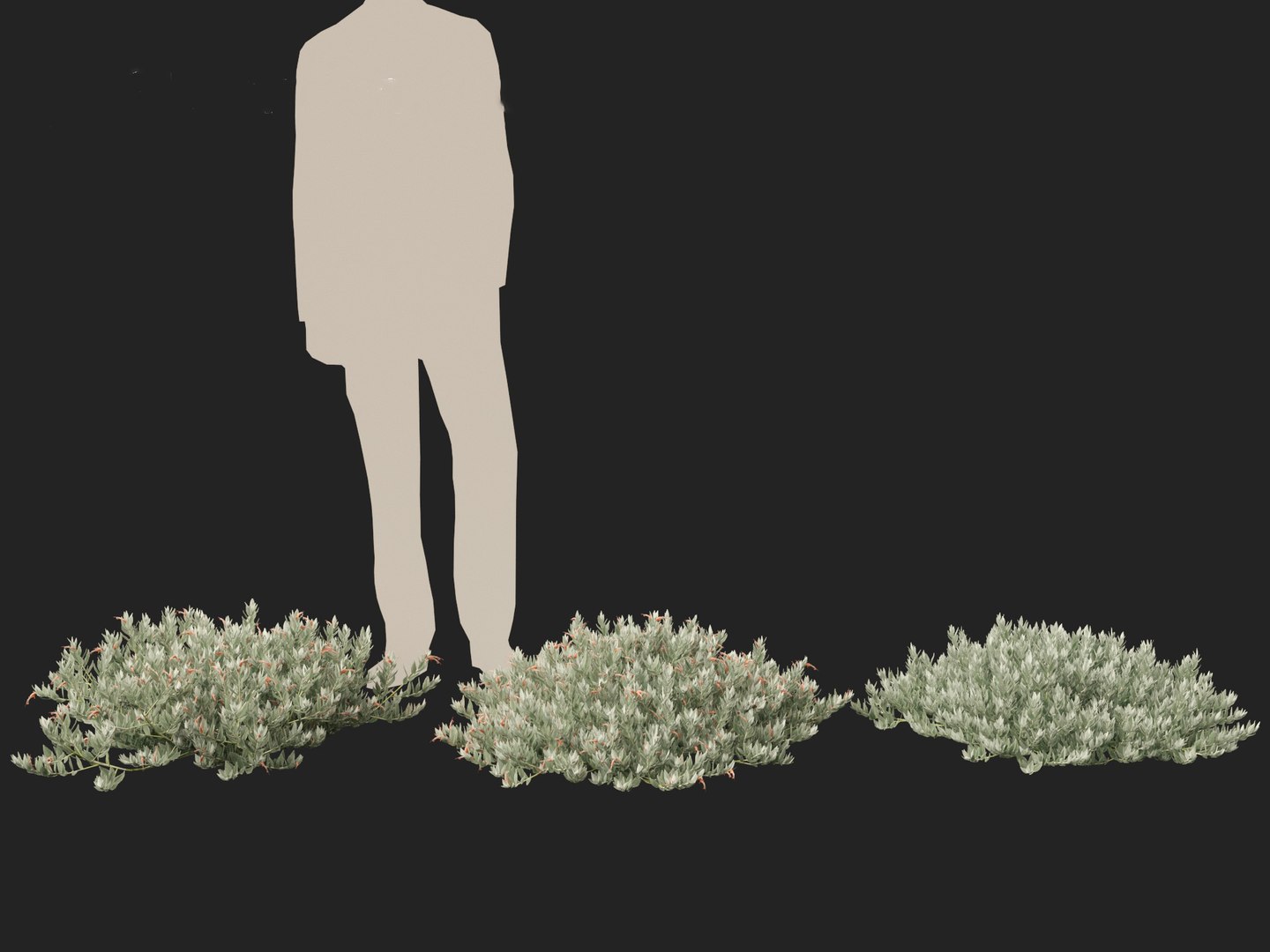 Eremophila glabra Kalbarri carpet - Tar Bush 3D model https://p.turbosquid.com/ts-thumb/dr/tvTSG4/Zl/eremophilaglabrakalbarricarpet014/jpg/1706100066/1920x1080/fit_q87/f7988b2a0986784c5ef94885d7bb4d7806257ce7/eremophilaglabrakalbarricarpet014.jpg