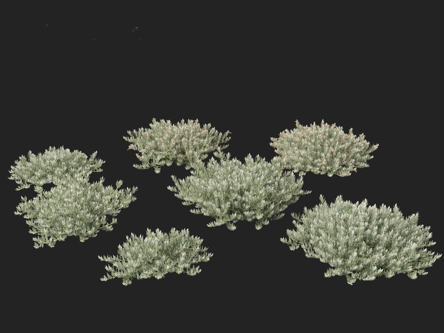 Eremophila glabra Kalbarri carpet - Tar Bush 3D model https://p.turbosquid.com/ts-thumb/dr/tvTSG4/ga/eremophilaglabrakalbarricarpet018/jpg/1706100072/1920x1080/fit_q87/bc367d1f01aeaa34d32f16338b11022beeab9ef8/eremophilaglabrakalbarricarpet018.jpg