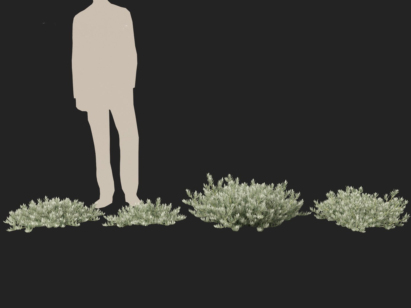 Eremophila glabra Kalbarri carpet - Tar Bush 3D model https://p.turbosquid.com/ts-thumb/dr/tvTSG4/lk/eremophilaglabrakalbarricarpet016/jpg/1706100069/1920x1080/fit_q87/13c6bd2c347e833a5c10417233202f97e6a2b13d/eremophilaglabrakalbarricarpet016.jpg