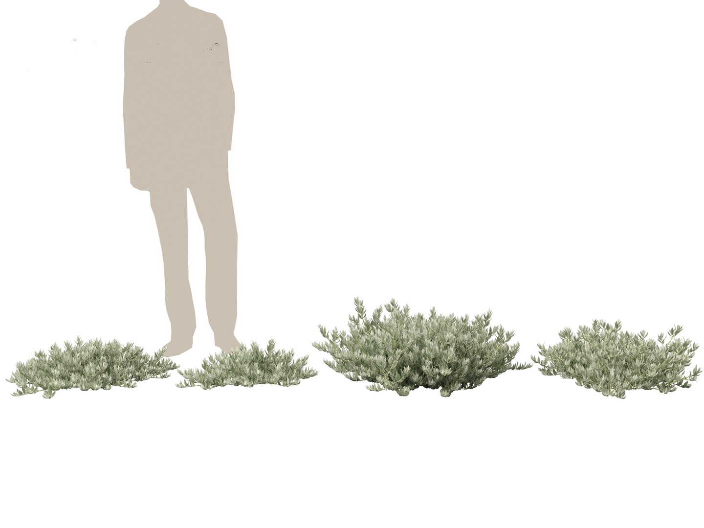 Eremophila glabra Kalbarri carpet - Tar Bush 3D model https://p.turbosquid.com/ts-thumb/dr/tvTSG4/pi/eremophilaglabrakalbarricarpet015/jpg/1706100067/1920x1080/fit_q87/3dc0ea7798505f184a9bc31064726d5d16813d39/eremophilaglabrakalbarricarpet015.jpg
