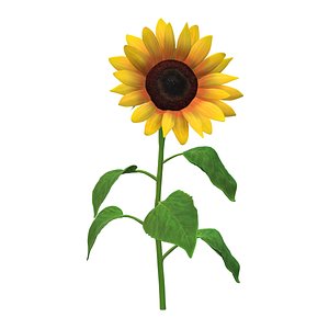 sunflowers 3D model