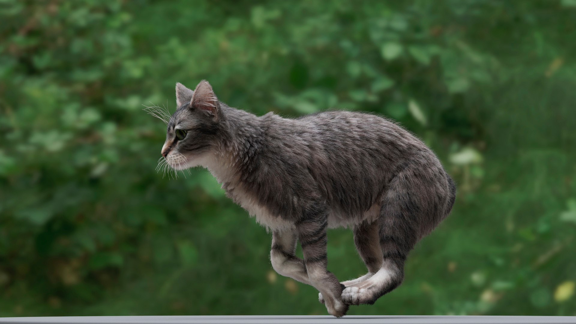 Cat Tabby RIGGED Model - TurboSquid 2040617