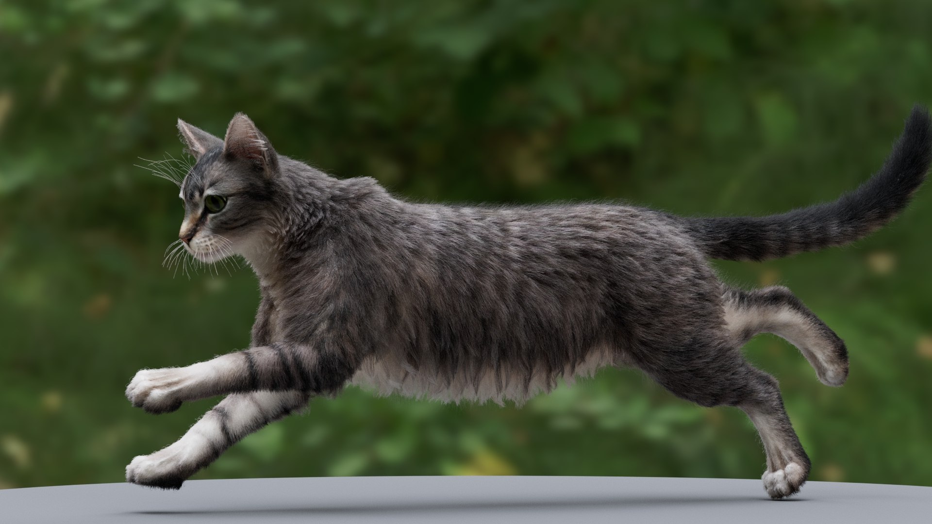 Cat Tabby RIGGED Model - TurboSquid 2040617