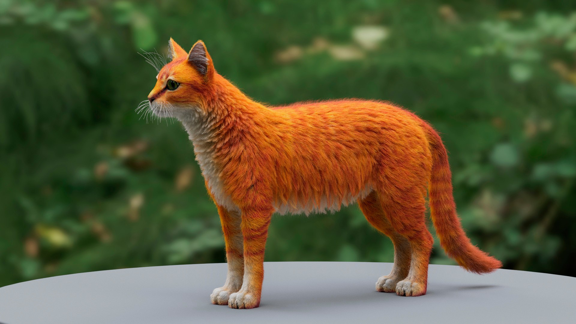 Cat Tabby RIGGED Model - TurboSquid 2040617