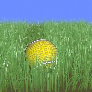 Tennis Ball + Grass Animated