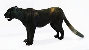 Realistic Fur Black Panther NO RIG