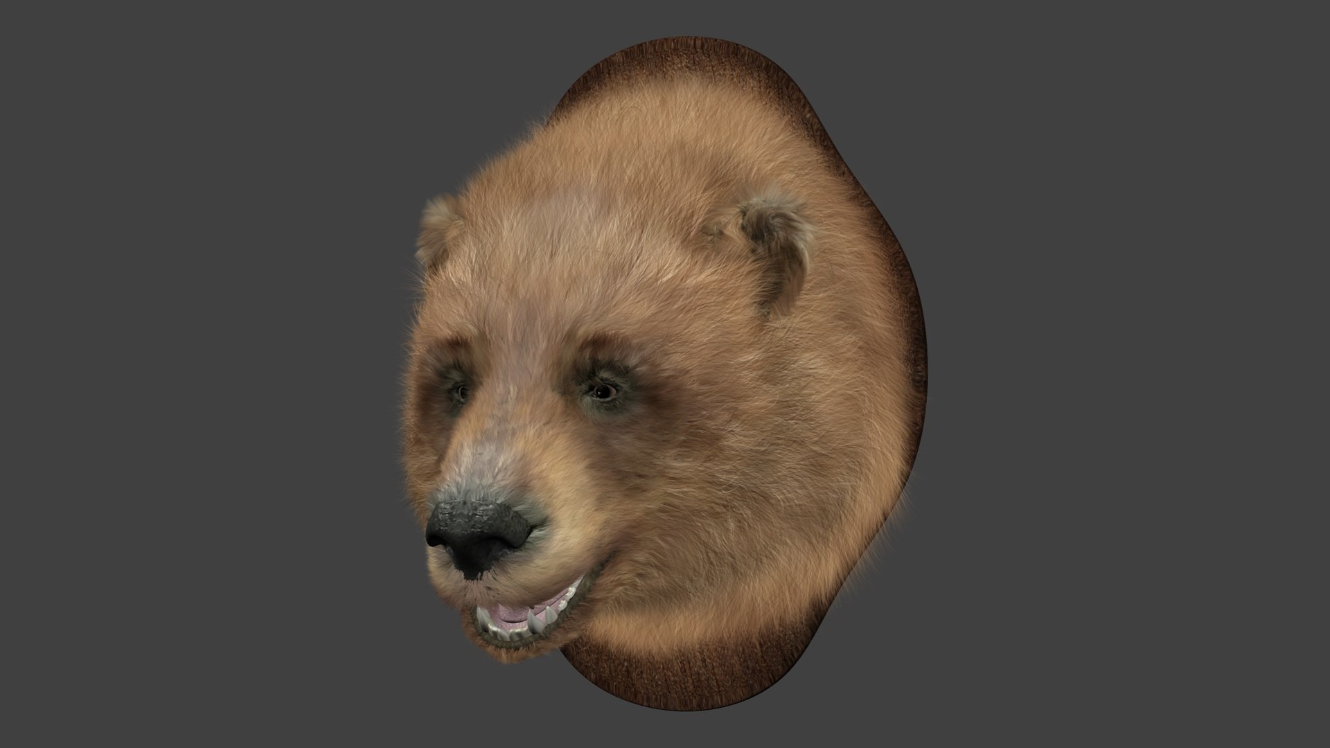 head bear model https://p.turbosquid.com/ts-thumb/ds/Zlo8dT/YFEYmkk1/r5/jpg/1589354555/1920x1080/fit_q87/b91c2de05517fca70f5ce12091bda7b0679c981c/r5.jpg