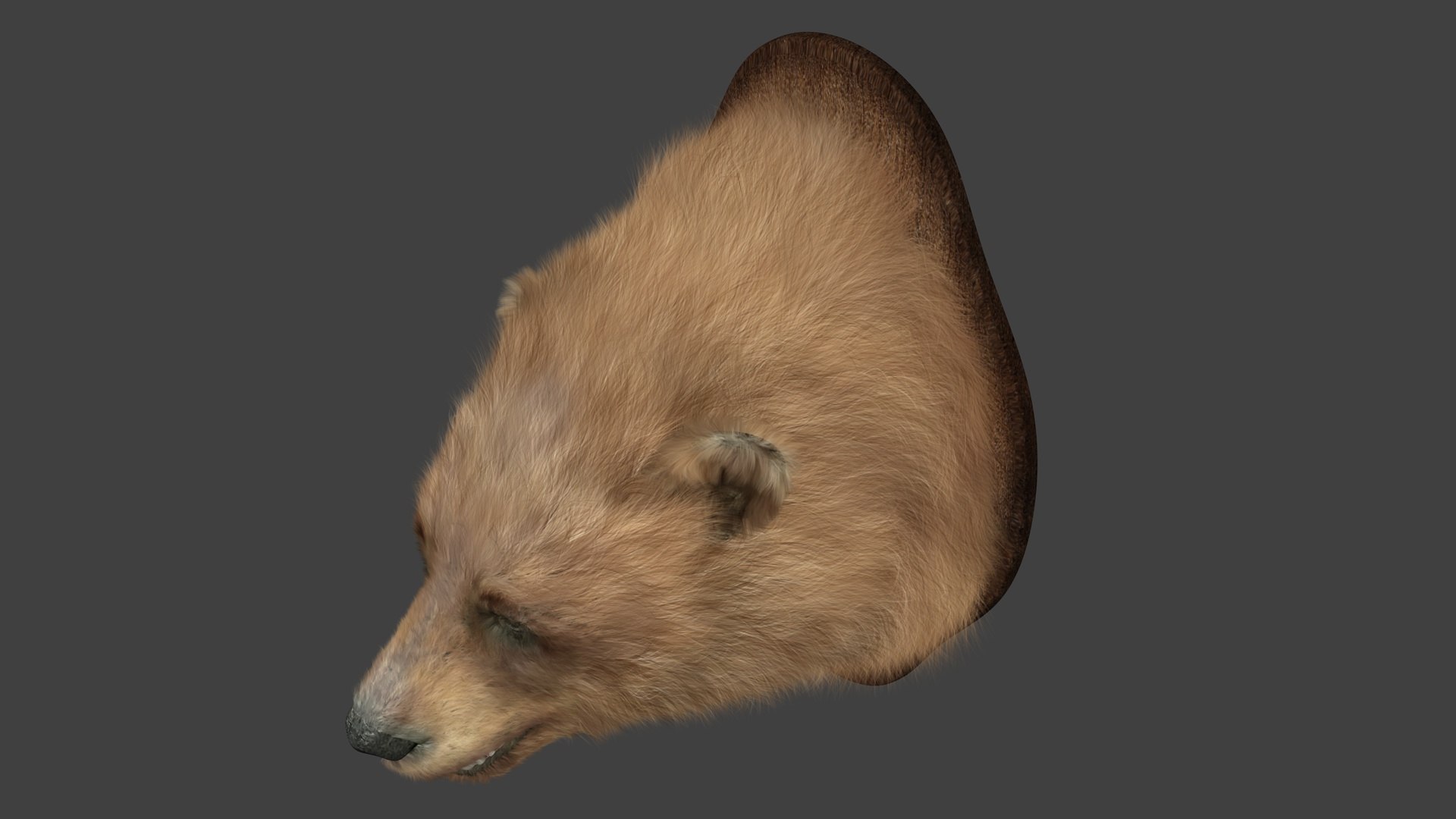 head bear model https://p.turbosquid.com/ts-thumb/ds/Zlo8dT/h7RQznCG/r4/jpg/1589354555/1920x1080/fit_q87/ba889dc22e70a64aad093850f745e16de9f2199a/r4.jpg