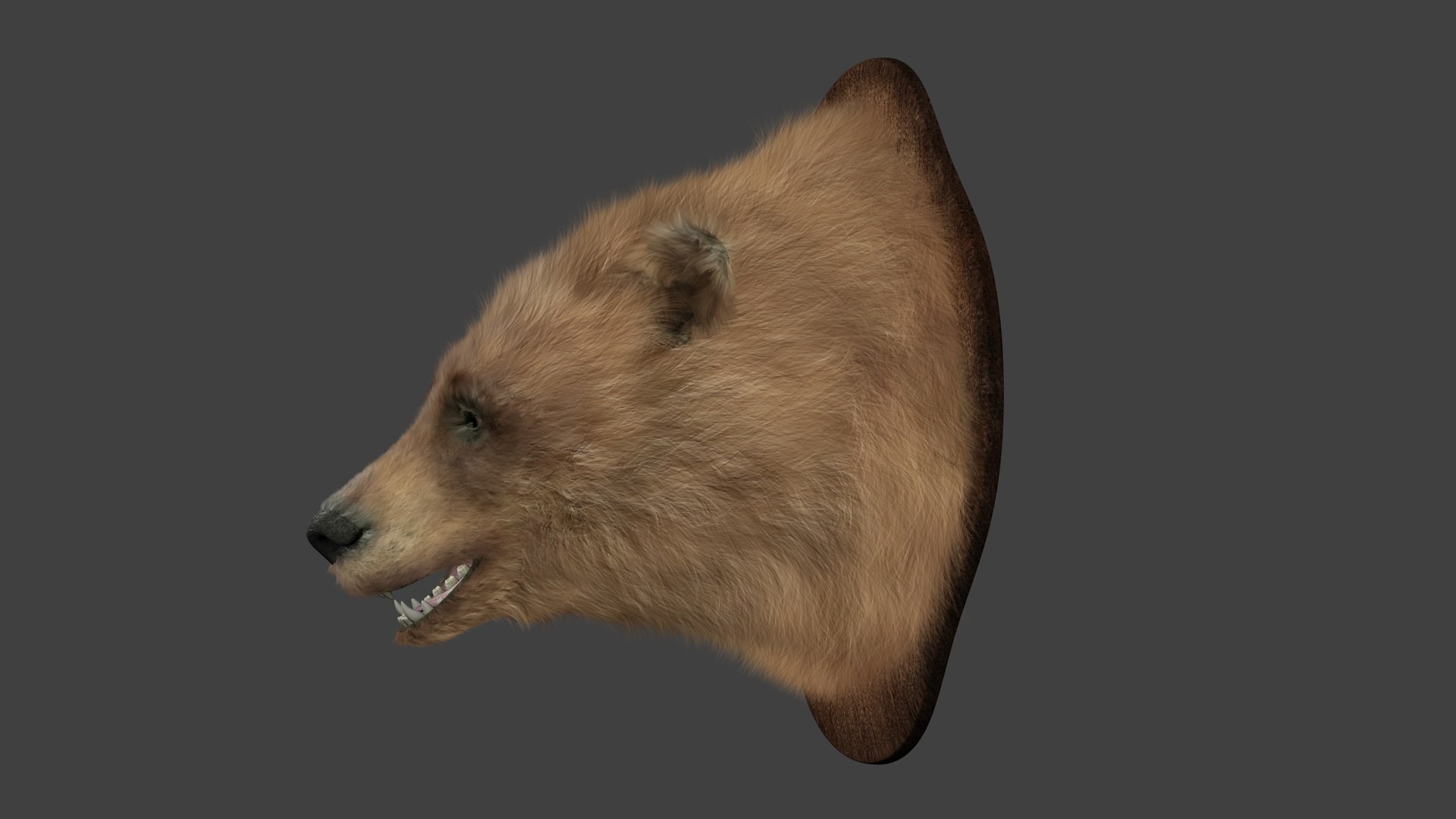 head bear model https://p.turbosquid.com/ts-thumb/ds/Zlo8dT/xQO36bH1/r2/jpg/1589354555/1920x1080/fit_q87/0b963bb518ca1452e12db45f5f7ddbf80d7e424c/r2.jpg