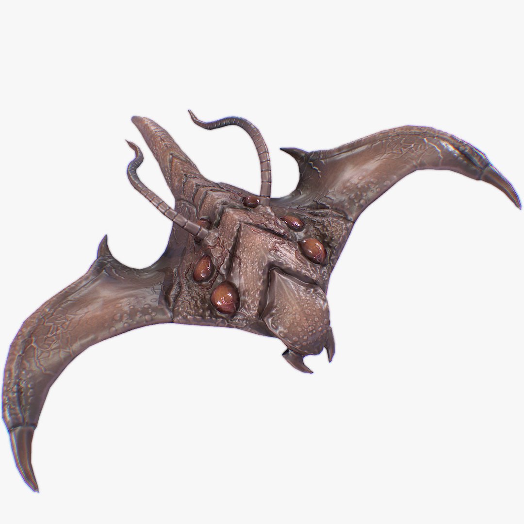 3D Model Infested Flying Creature - TurboSquid 2407202