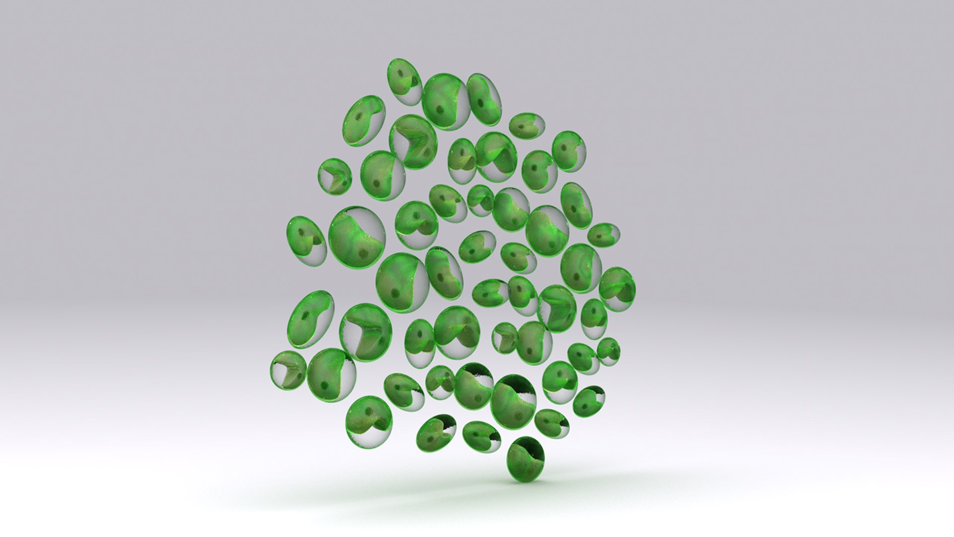 3d Chlorella Model