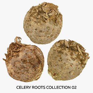 3D Celery Roots Collection 02 - 3 models RAW Scans