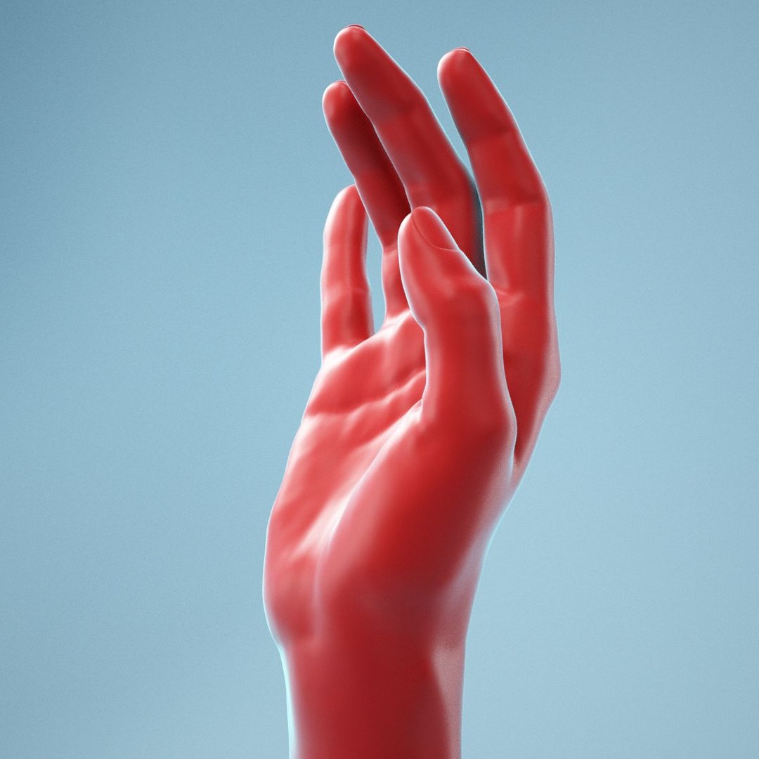 Female Hand 3D Model - TurboSquid 1451694