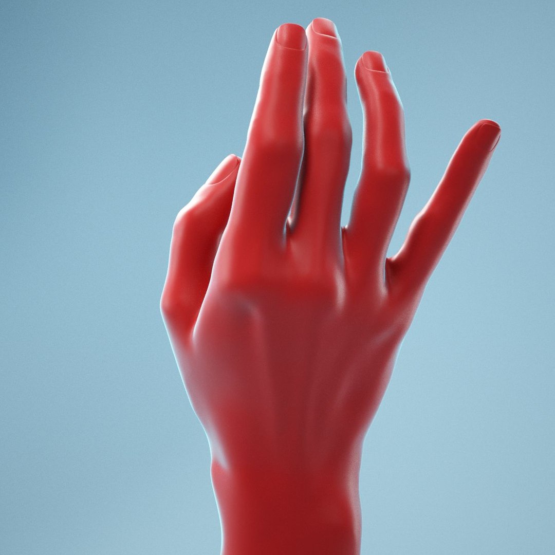 Female Hand 3D Model - TurboSquid 1451694