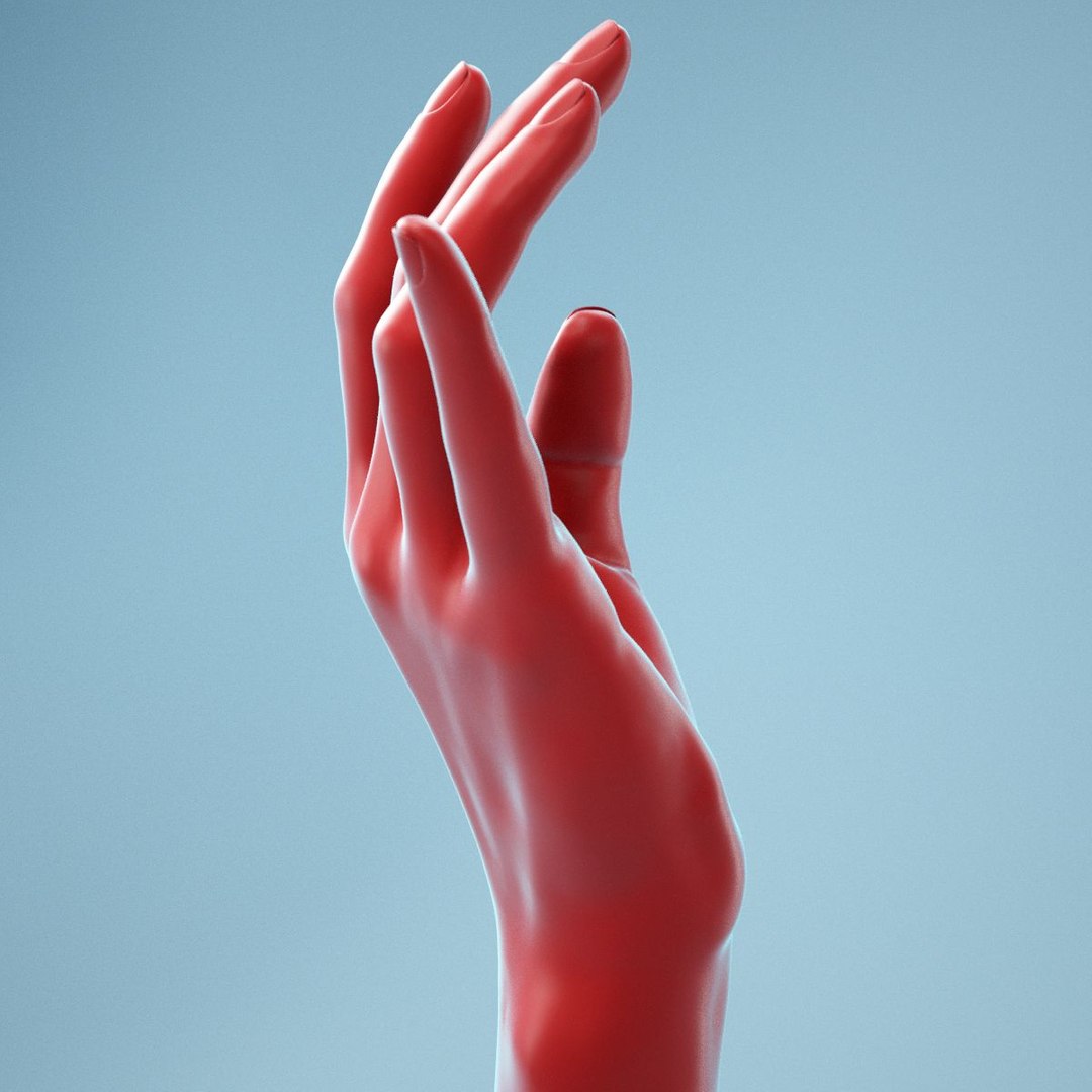 Female Hand 3D Model - TurboSquid 1451694