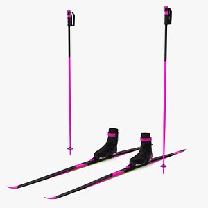 Ski Boots with Poles 3D model