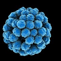 Toxic Mold Spore
