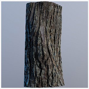 treebark05 3D model