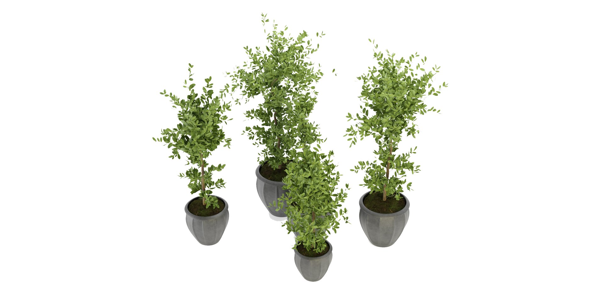 3D Collection plant vol 299 - blender model https://p.turbosquid.com/ts-thumb/dt/C7YplV/ps/4/jpg/1688483563/1920x1080/fit_q87/99d77302468a0abf21c0d847c25a067576d622ce/4.jpg