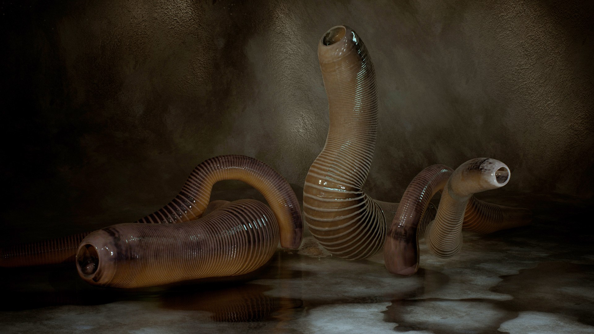 Leeches Animations 3D - TurboSquid 1386743