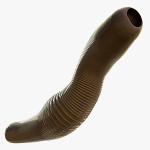 leeches animations 3D