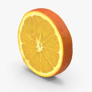 Orange Slice 3D model
