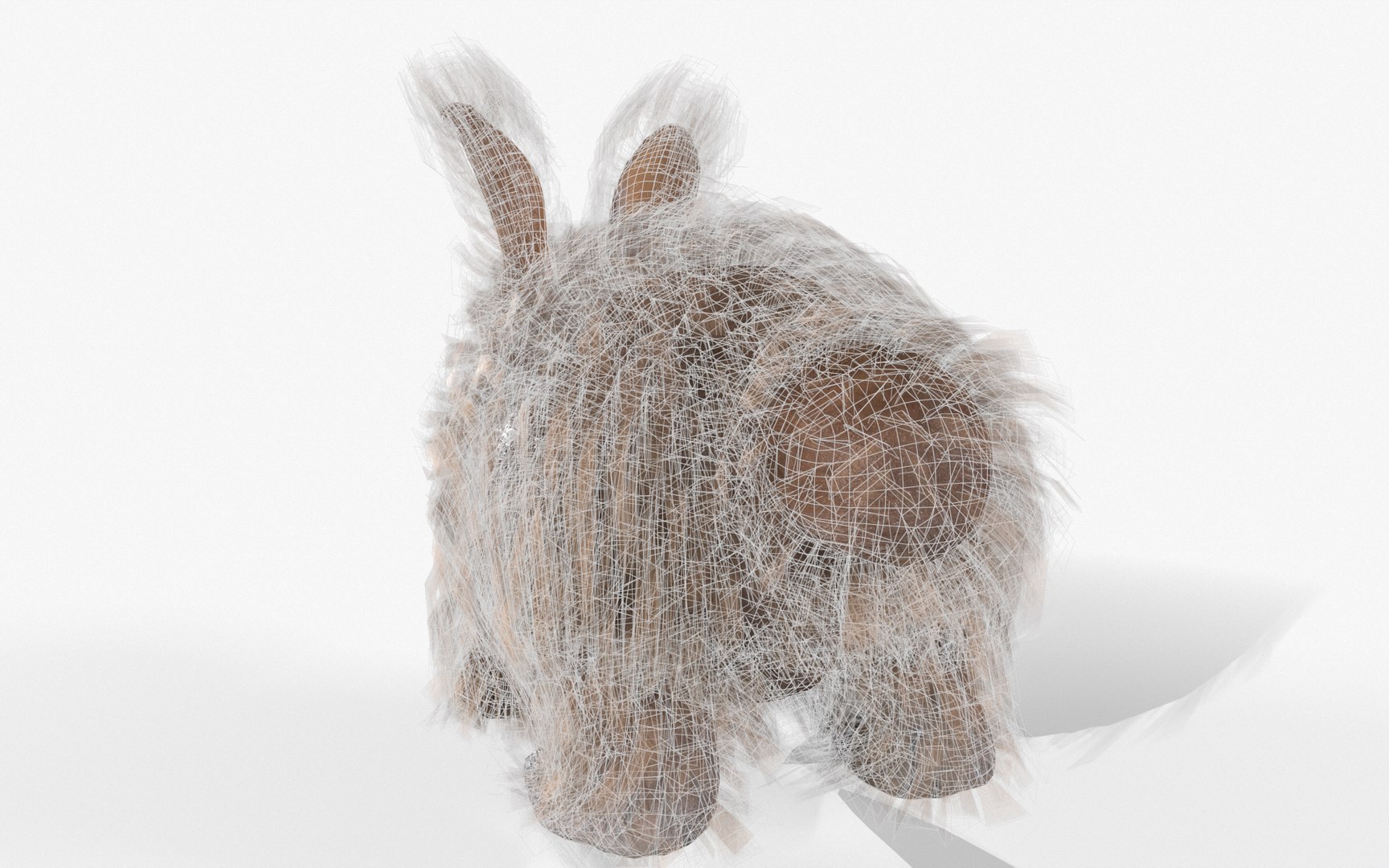 Rabbit 3D Model - TurboSquid 2119972