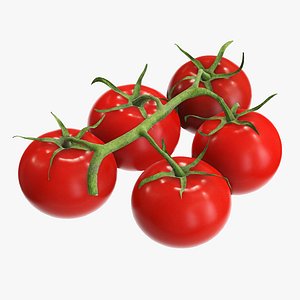 3D model branch tomato