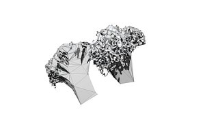 3D broccoli  cut 3D CT scan model 7 decimate 5percent