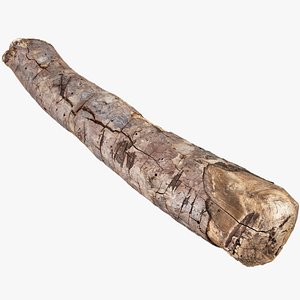 A section of tree 3d scan in highpoly 3D