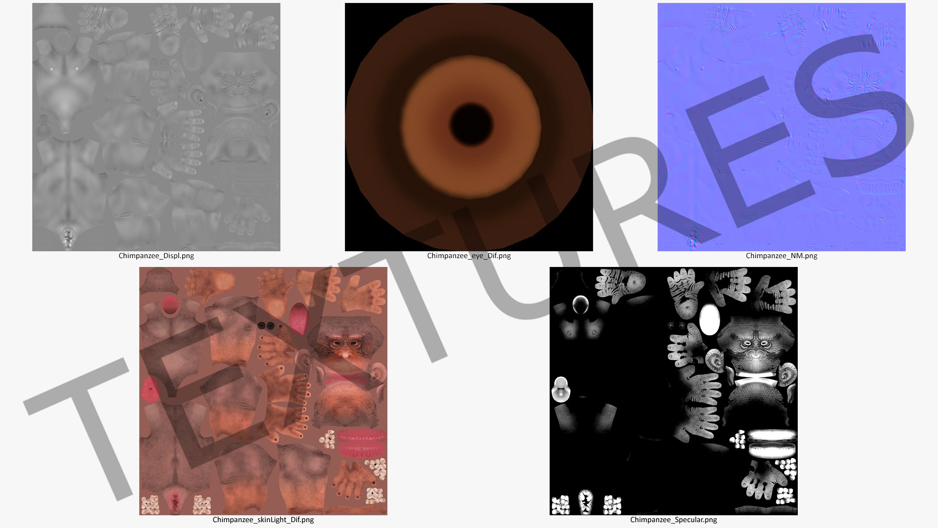 sitting light chimpanzee pan 3D model https://p.turbosquid.com/ts-thumb/du/bvVAmc/ZMNSBkGH/sittinglightchimpanzeemb3dmodel013/jpg/1566206012/1920x1080/fit_q87/d39f2b0e2f747902c1c48fdcc74ca5f3db31246a/sittinglightchimpanzeemb3dmodel013.jpg