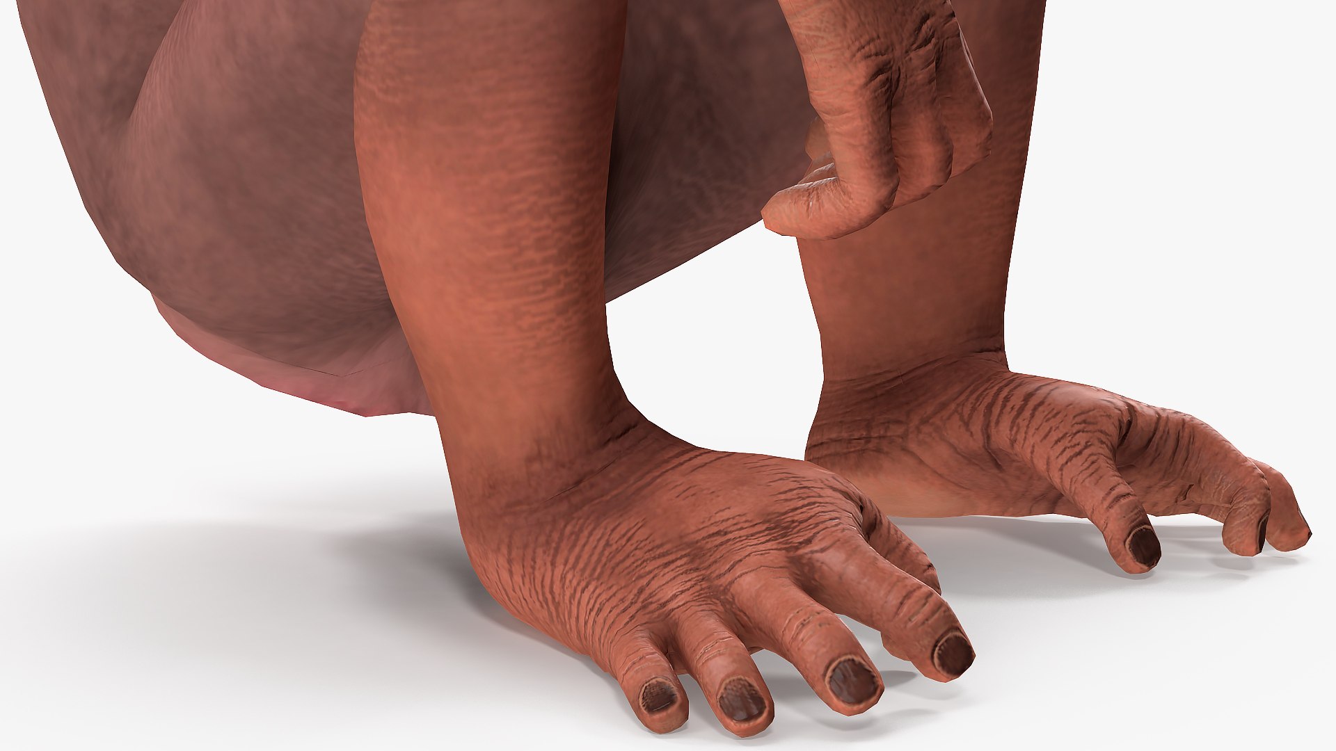 sitting light chimpanzee pan 3D model https://p.turbosquid.com/ts-thumb/du/bvVAmc/d5HbYhoT/sittinglightchimpanzeemb3dmodel007/jpg/1566206009/1920x1080/fit_q87/8d16dc10cd60333d27c9a2ec592005263f3513cf/sittinglightchimpanzeemb3dmodel007.jpg