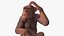 Sitting Light Chimpanzee