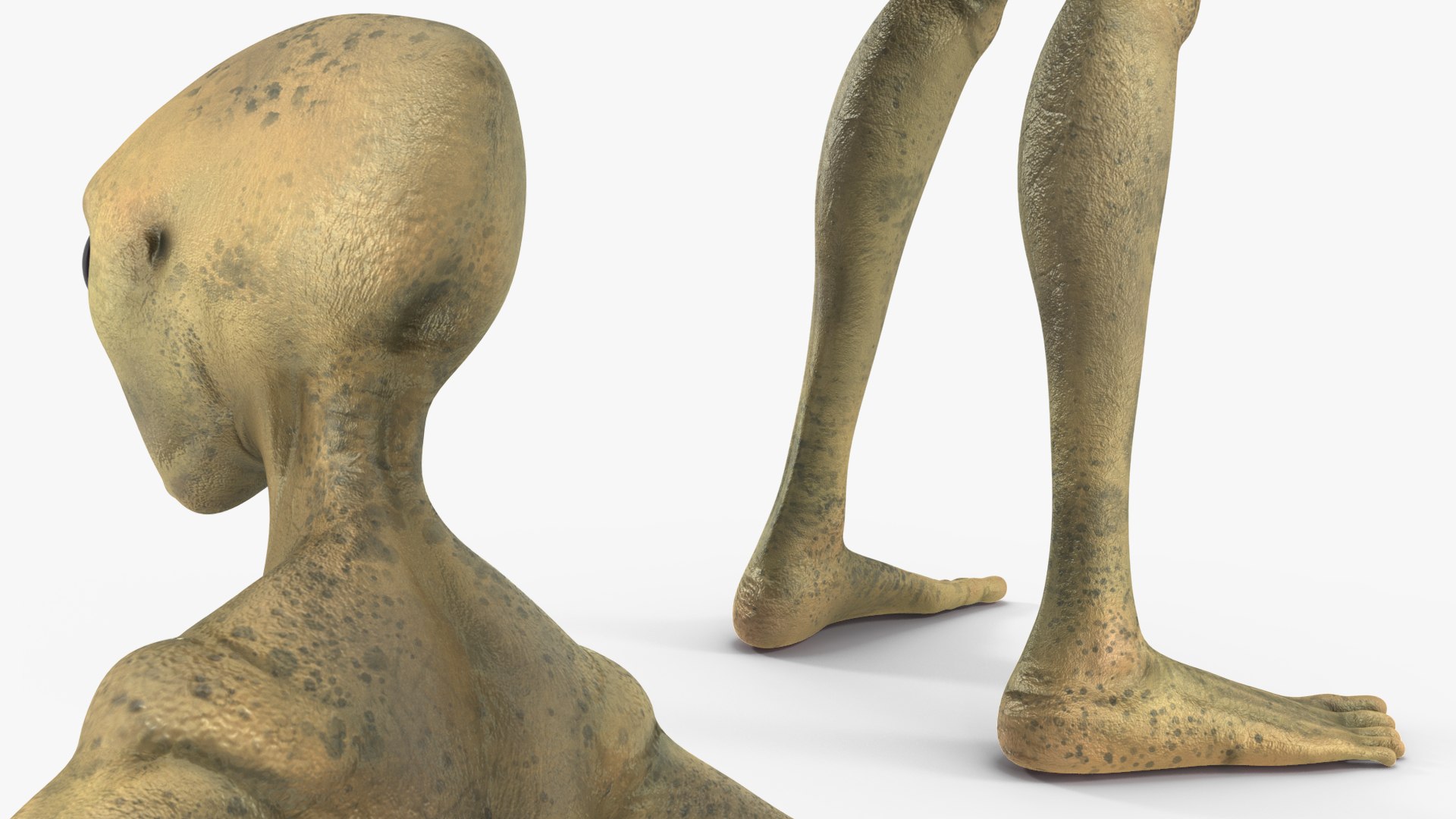 Humanoid Alien Creature Rigged for Maya 3D model https://p.turbosquid.com/ts-thumb/du/gsLtbI/Cd/humanoidaliencreatureriggedc4dmodel024/jpg/1648065890/1920x1080/fit_q87/9fa87f058e4f5f97d624ea44e5cd967a04851c92/humanoidaliencreatureriggedc4dmodel024.jpg