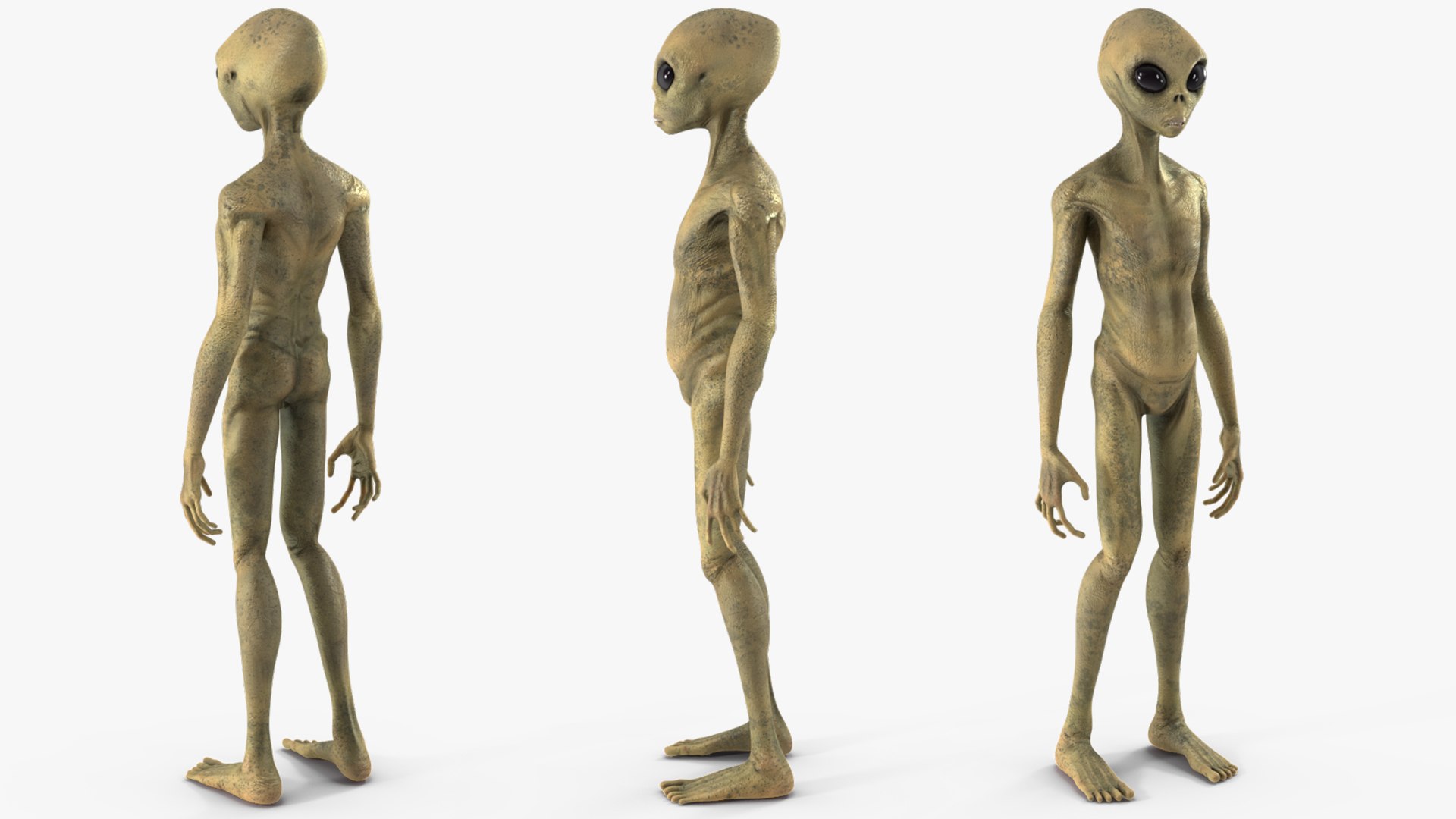 Humanoid Alien Creature Rigged for Maya 3D model https://p.turbosquid.com/ts-thumb/du/gsLtbI/XO/humanoidaliencreatureriggedc4dmodel012/jpg/1648065852/1920x1080/fit_q87/b691e4c4476b9f5d0f87c63f216e7480f9b18bb3/humanoidaliencreatureriggedc4dmodel012.jpg