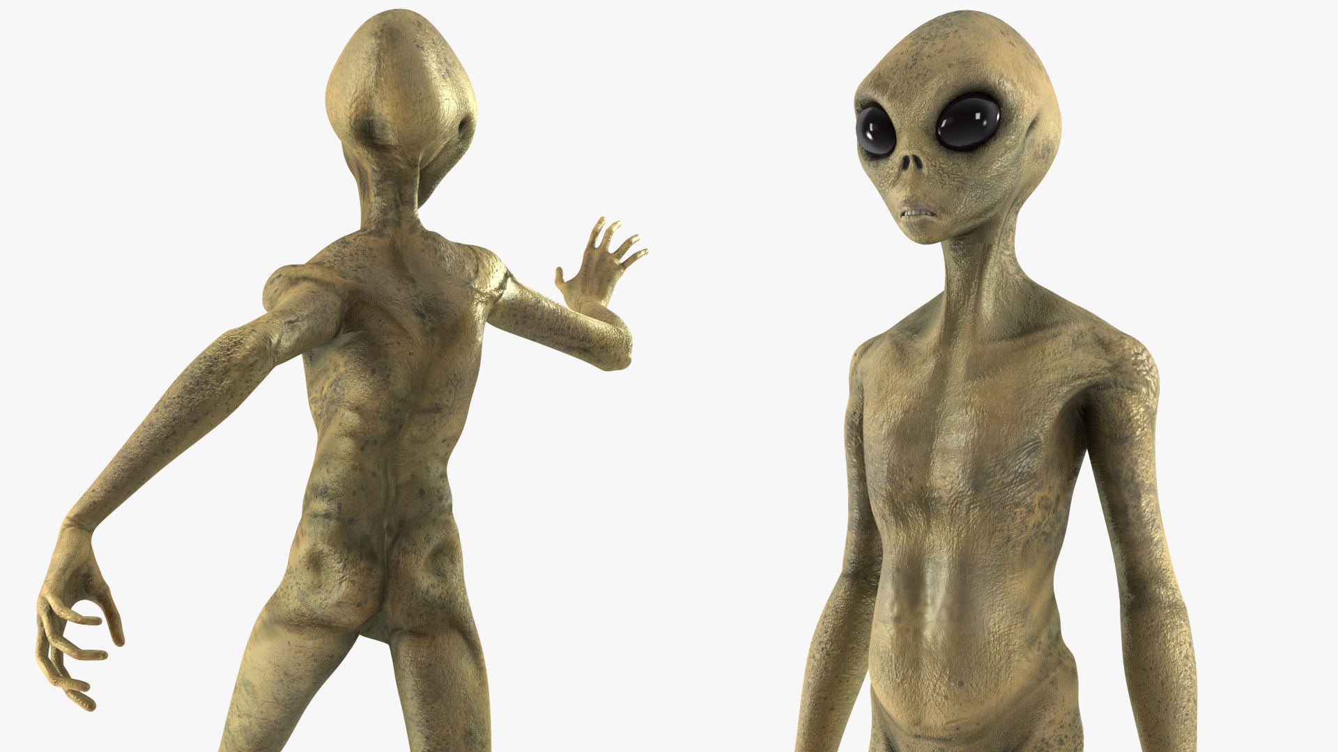 Humanoid Alien Creature Rigged for Maya 3D model https://p.turbosquid.com/ts-thumb/du/gsLtbI/cL/humanoidaliencreatureriggedc4dmodel019/jpg/1648065874/1920x1080/fit_q87/3a1bd5b95bf8c79239f400f209fcb1692676f95e/humanoidaliencreatureriggedc4dmodel019.jpg