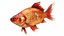 Fish Collection