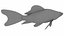 Fish Collection