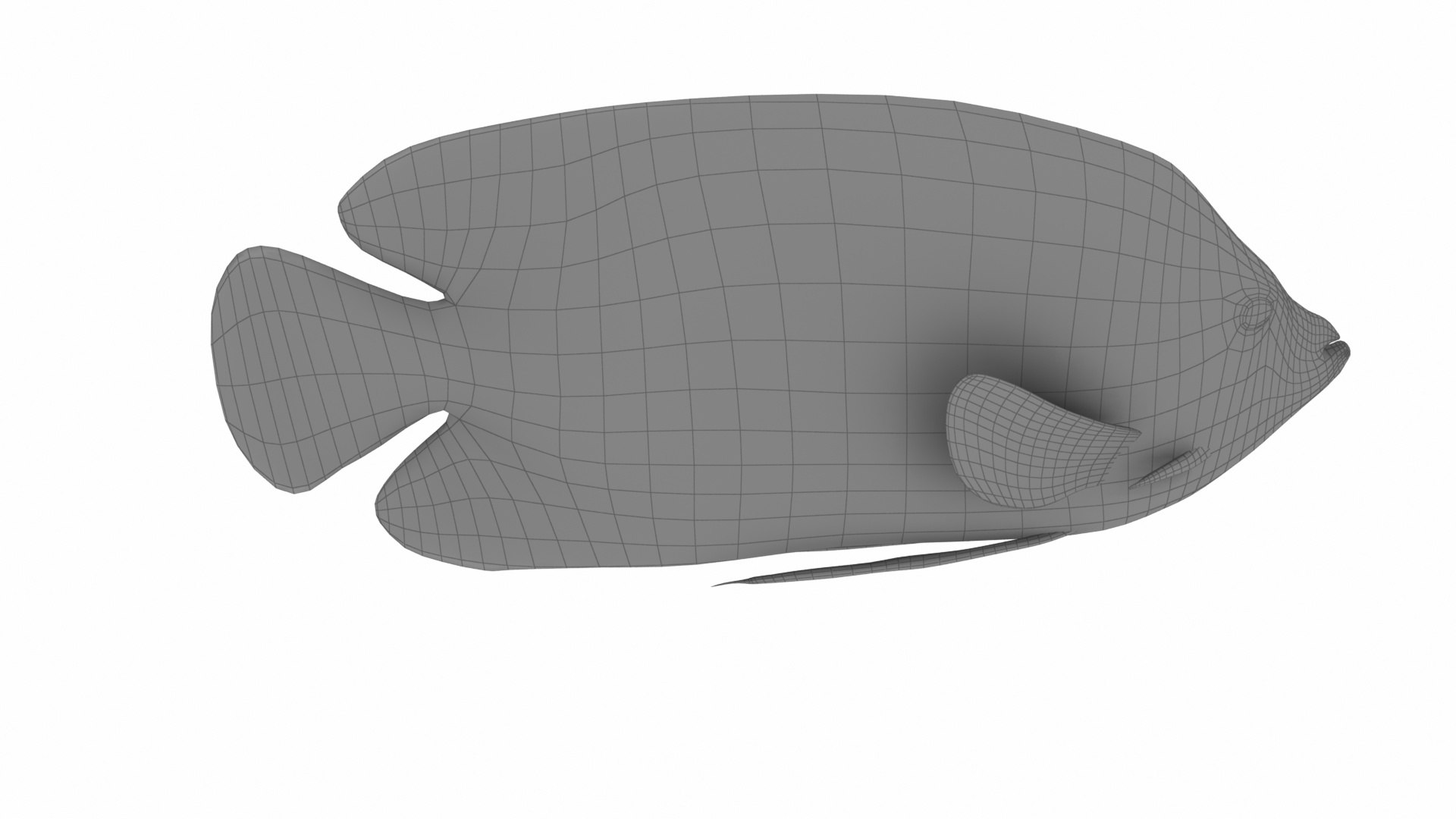 Fish Collection 3D https://p.turbosquid.com/ts-thumb/dv/0k8RlX/Ed/emperorangelfish10/jpg/1630990209/1920x1080/fit_q87/84ac0e3a3bb456530734261c841a8640a5d6ffba/emperorangelfish10.jpg