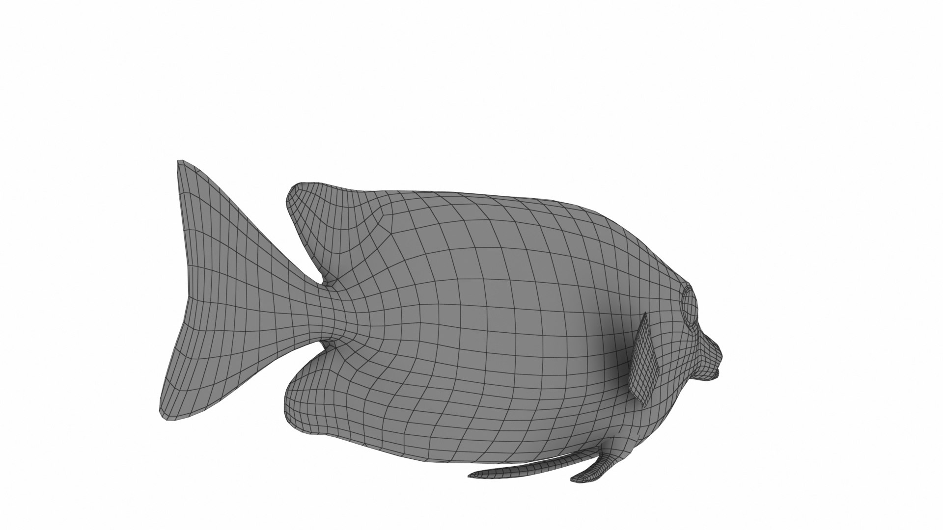 Fish Collection 3D https://p.turbosquid.com/ts-thumb/dv/0k8RlX/Rq/siganusvulpinus7/jpg/1630990180/1920x1080/fit_q87/f2eaa49af65c81e75c8b3079c794d44b2897ae02/siganusvulpinus7.jpg