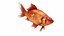 Fish Collection