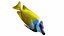 Fish Collection