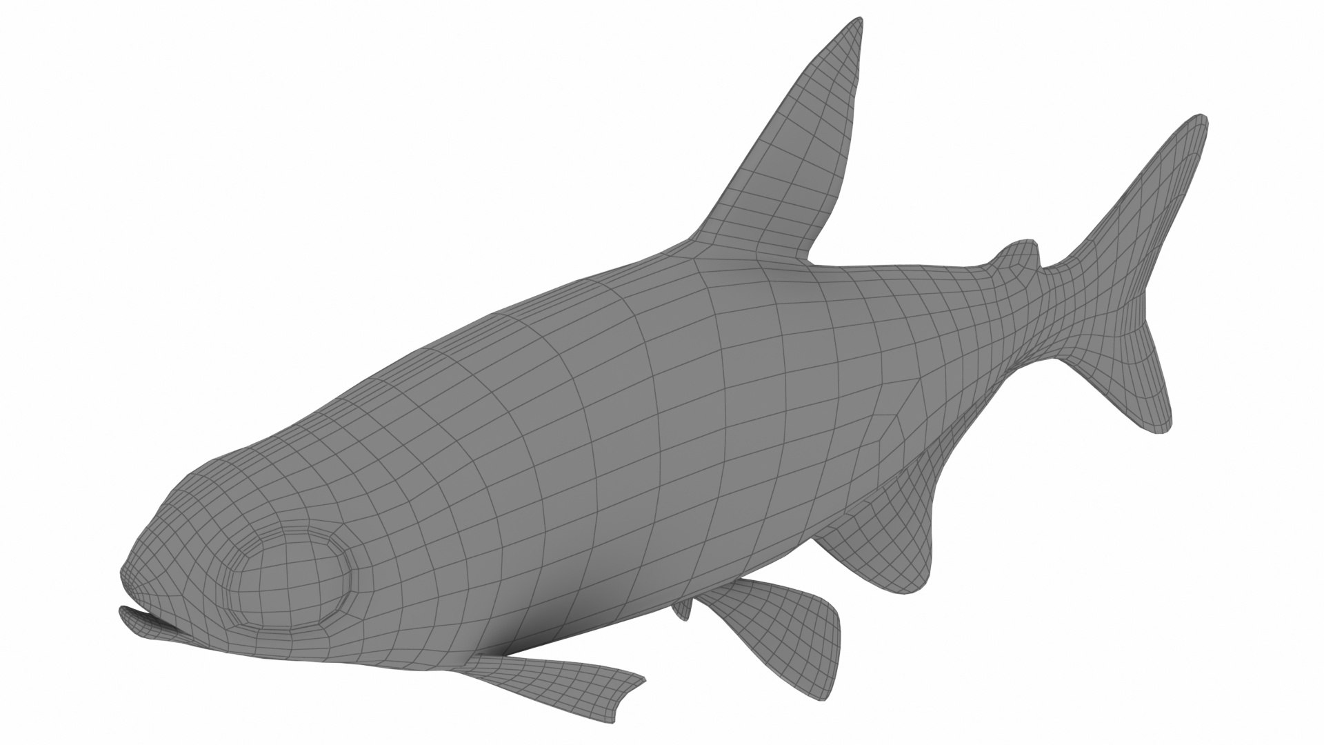 Fish Collection 3D https://p.turbosquid.com/ts-thumb/dv/0k8RlX/mG/neonfish8/jpg/1630990118/1920x1080/fit_q87/7bf37ccf7fada24618778debafcfd9cbc94f8efb/neonfish8.jpg