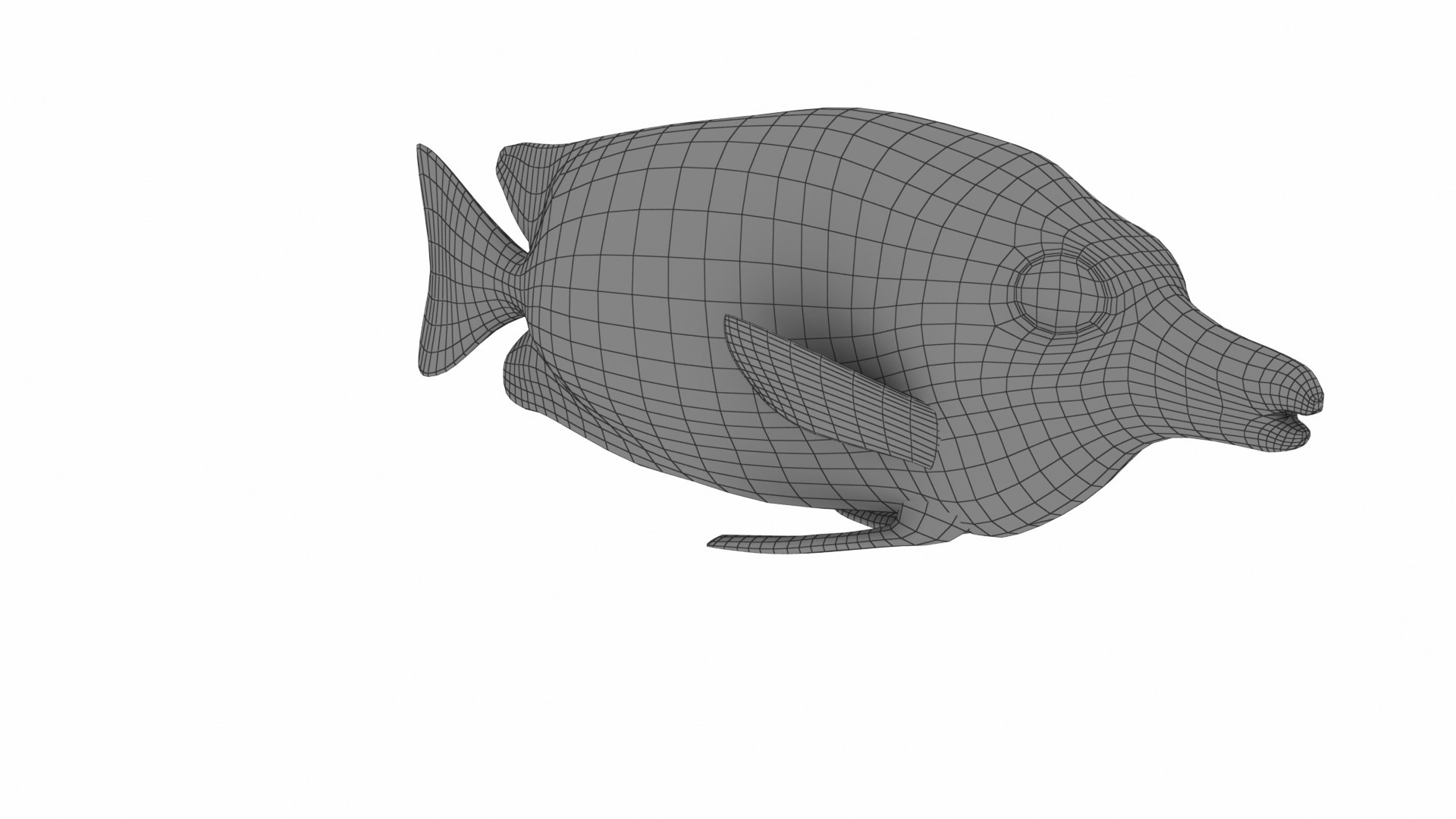 Fish Collection 3D https://p.turbosquid.com/ts-thumb/dv/0k8RlX/wx/siganusvulpinus10/jpg/1630990181/1920x1080/fit_q87/33e41b8bd3ebbbe245177ad5893dc135ed42dde6/siganusvulpinus10.jpg