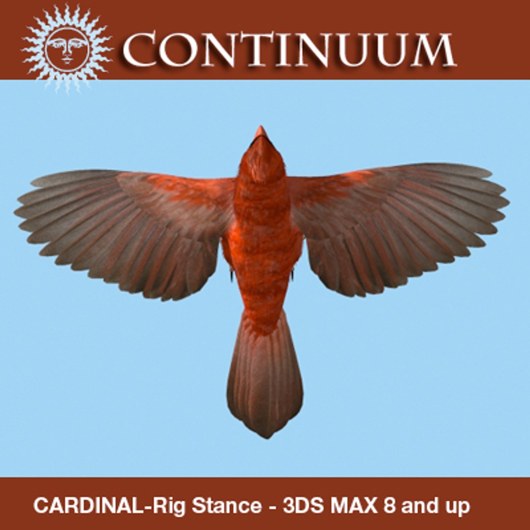 3d Model Cardinal-mapped-rigstance Cardinal Rig Stance