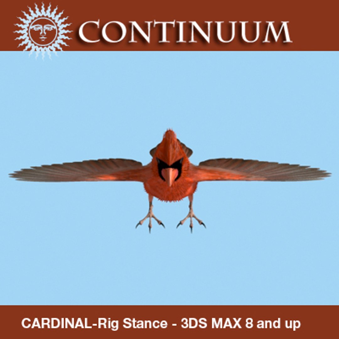 3d Model Cardinal-mapped-rigstance Cardinal Rig Stance