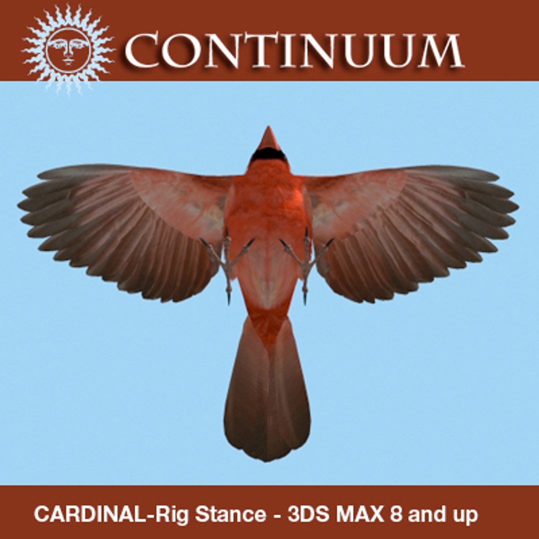 3d Model Cardinal-mapped-rigstance Cardinal Rig Stance