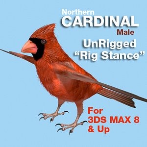 3d model cardinal-mapped-rigstance cardinal rig stance