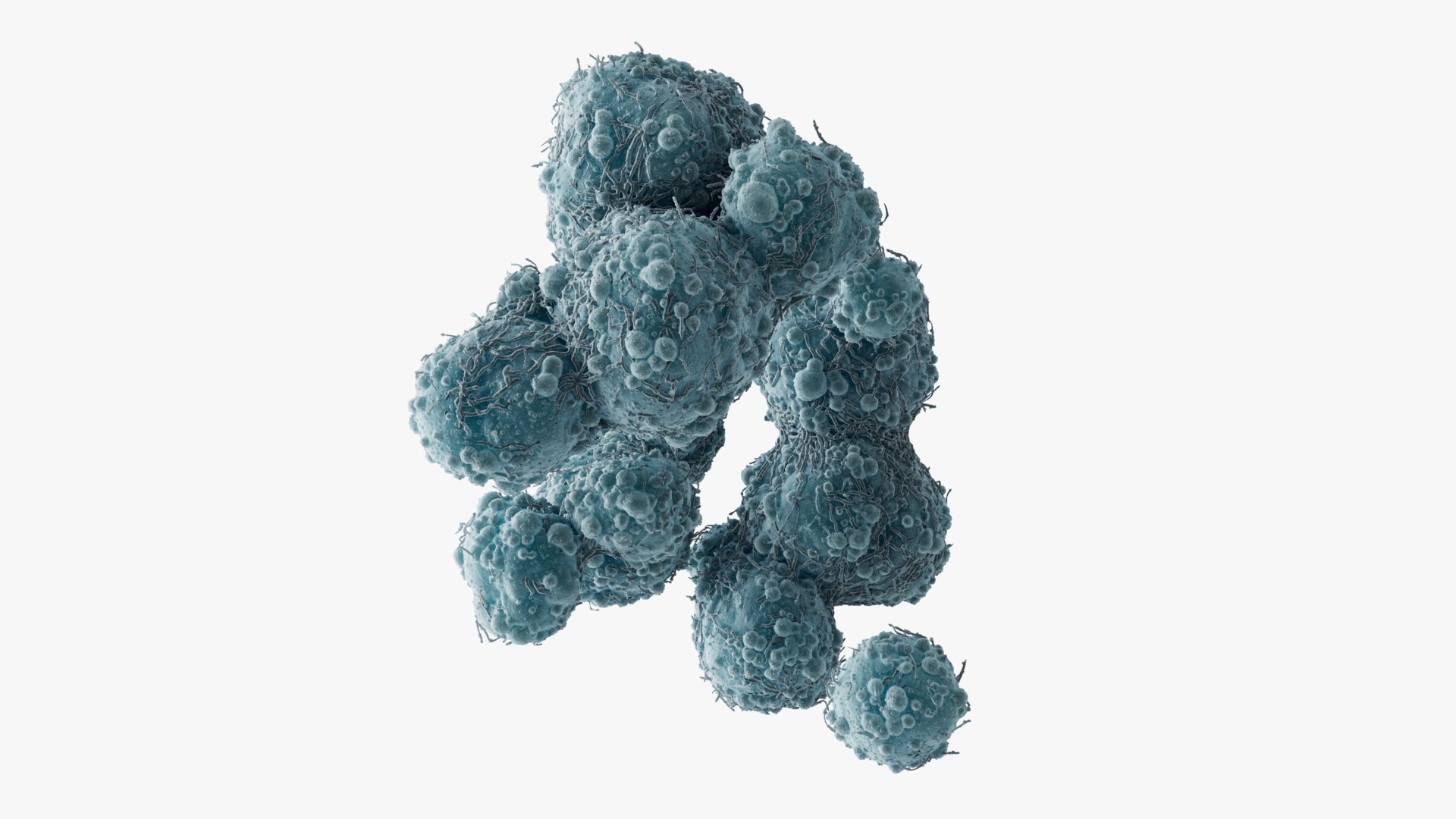 3D Model Cancer Cells Brain 9 - TurboSquid 2225363